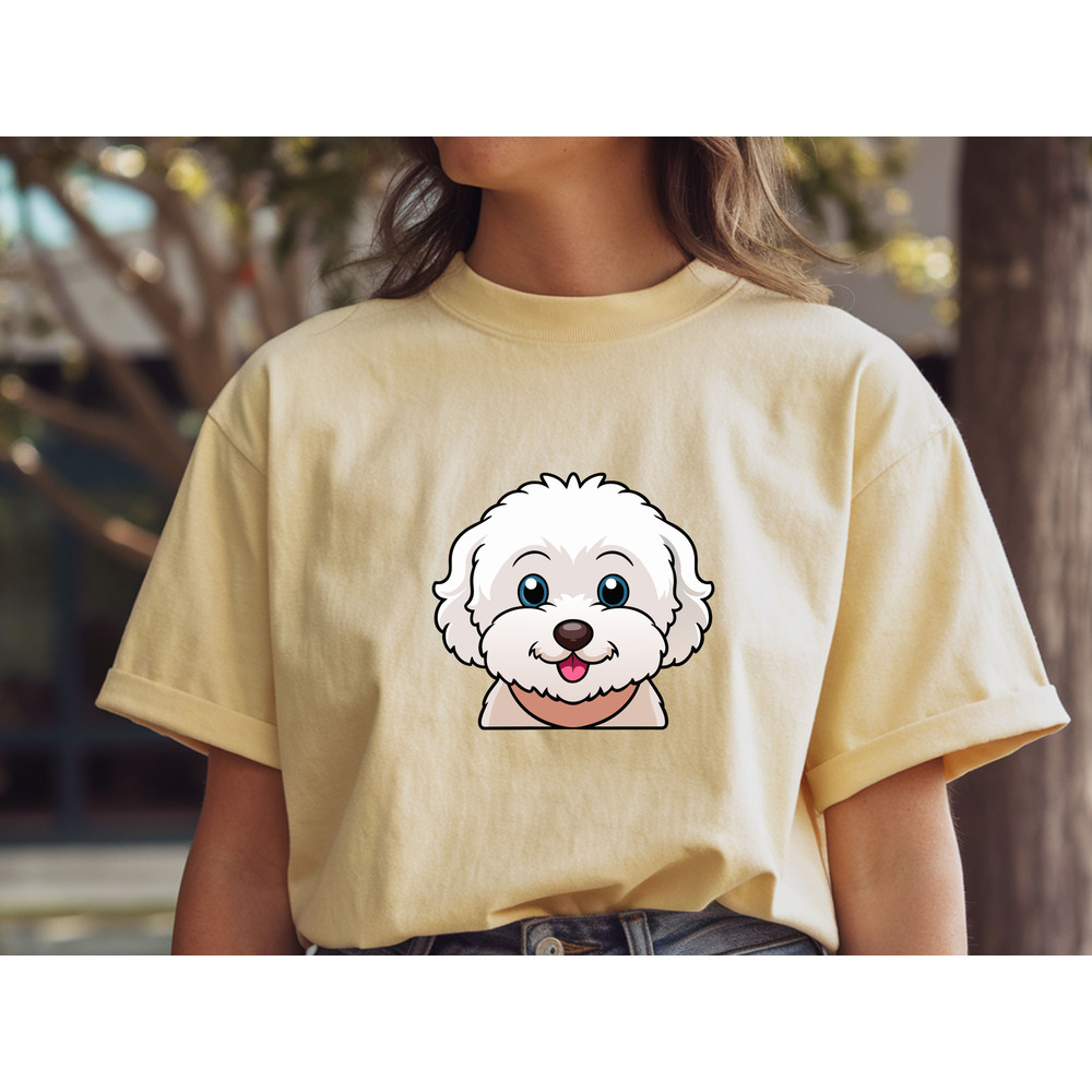 Bichon Frise 1