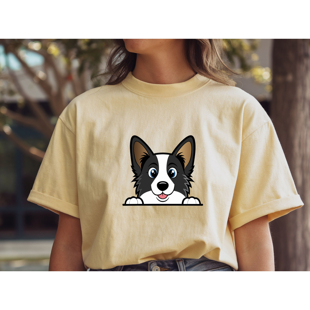 Border Collie 1