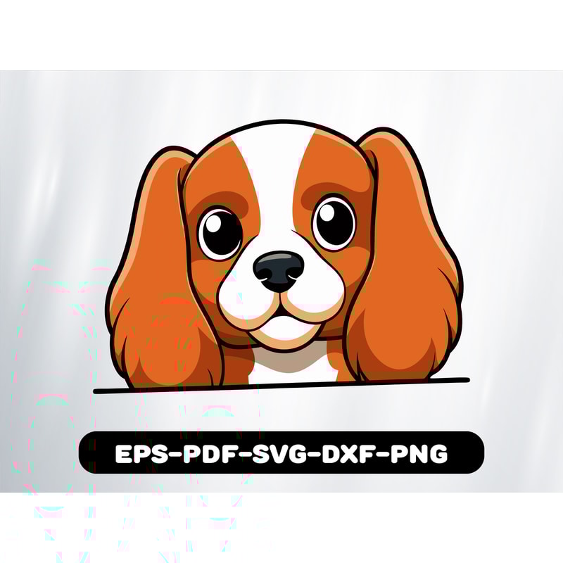 Cavalier King Charles Spaniel 0
