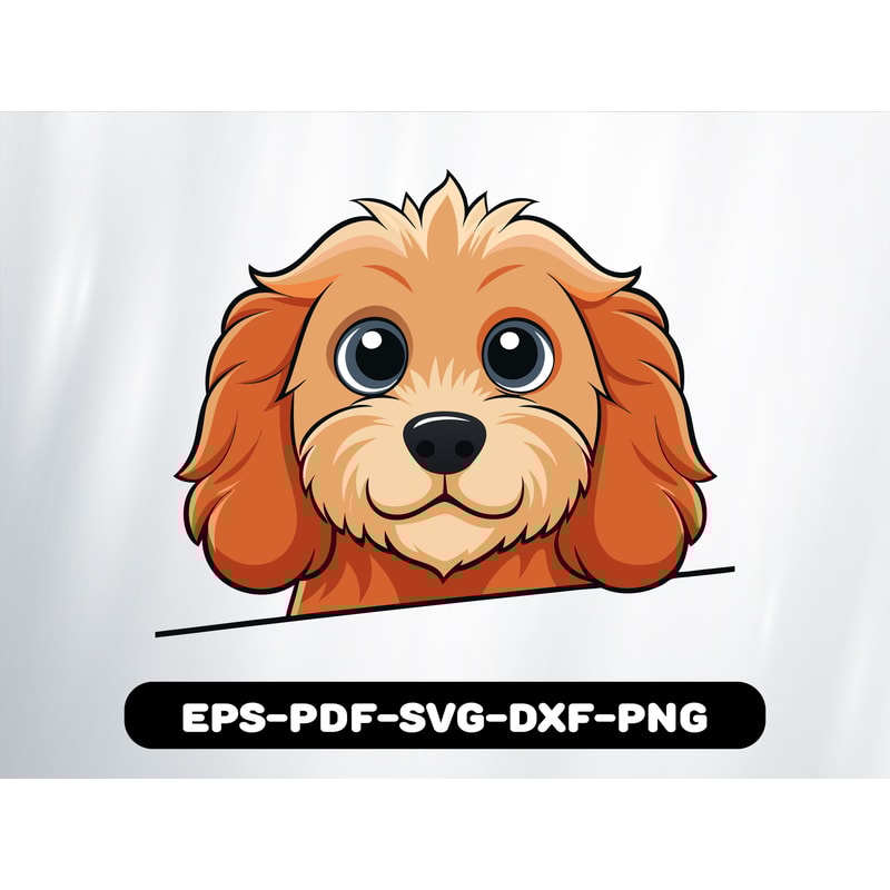 Cavapoo 0