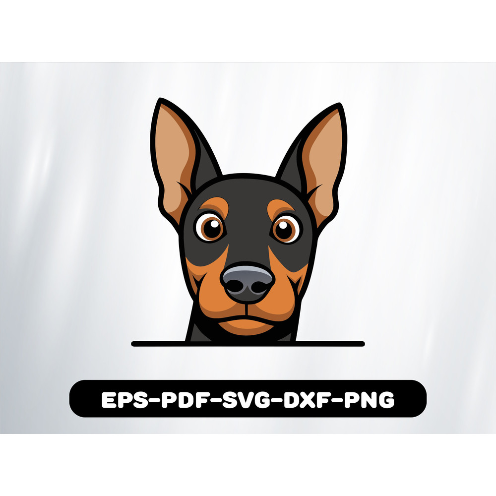 Doberman Pinscher 0
