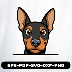 doberman pinscher