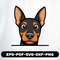 Doberman Pinscher 0
