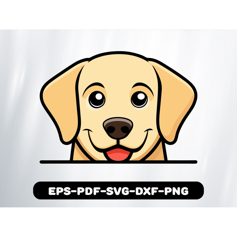 Labrador Retriever 0