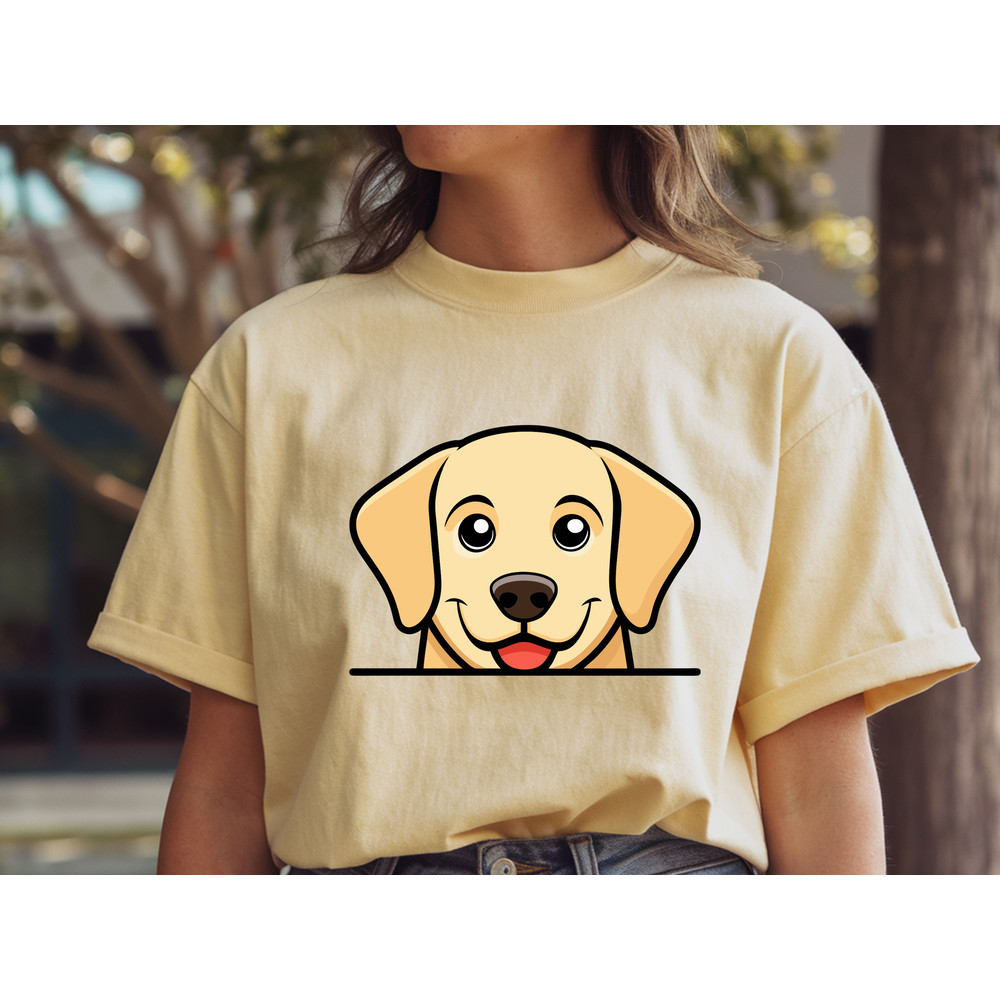 Labrador Retriever 1