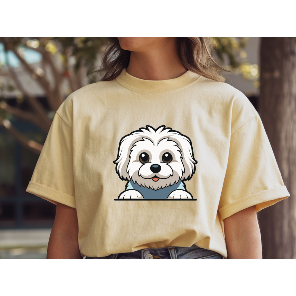 Maltipoo 1