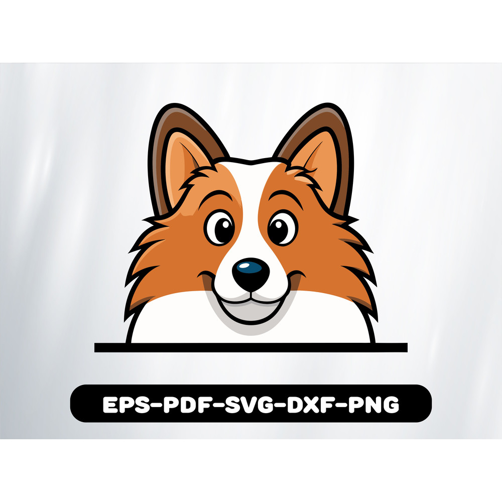 Shetland Sheepdog 0