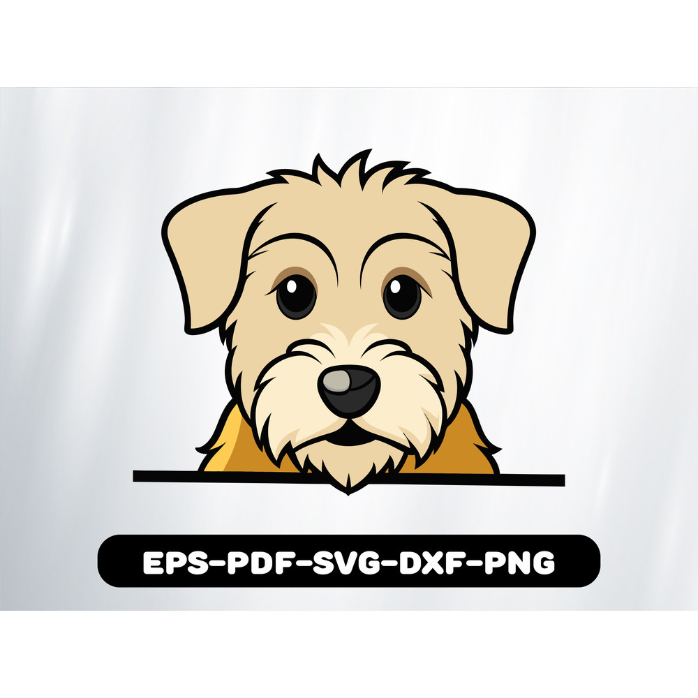 Soft Coated Wheaten Terrier 0