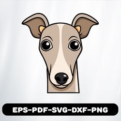 whippet