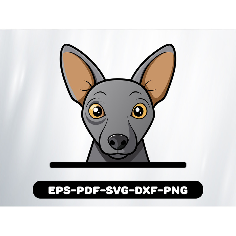 Xoloitzcuintli 0