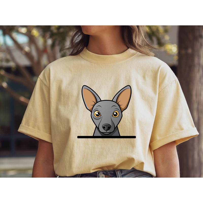 Xoloitzcuintli 1