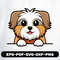 Cute Peeking Shih Tzu Breed 0