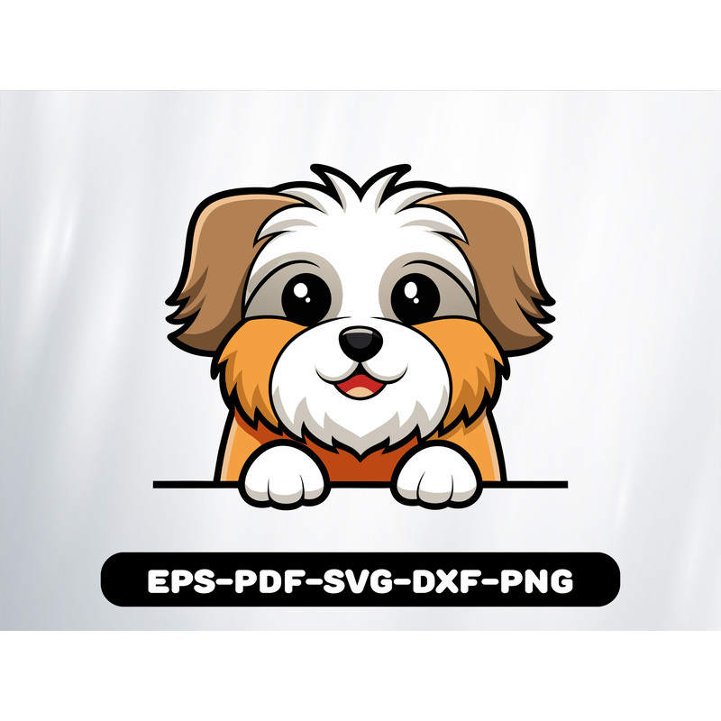 Cute Peeking Shih Tzu Breed 0