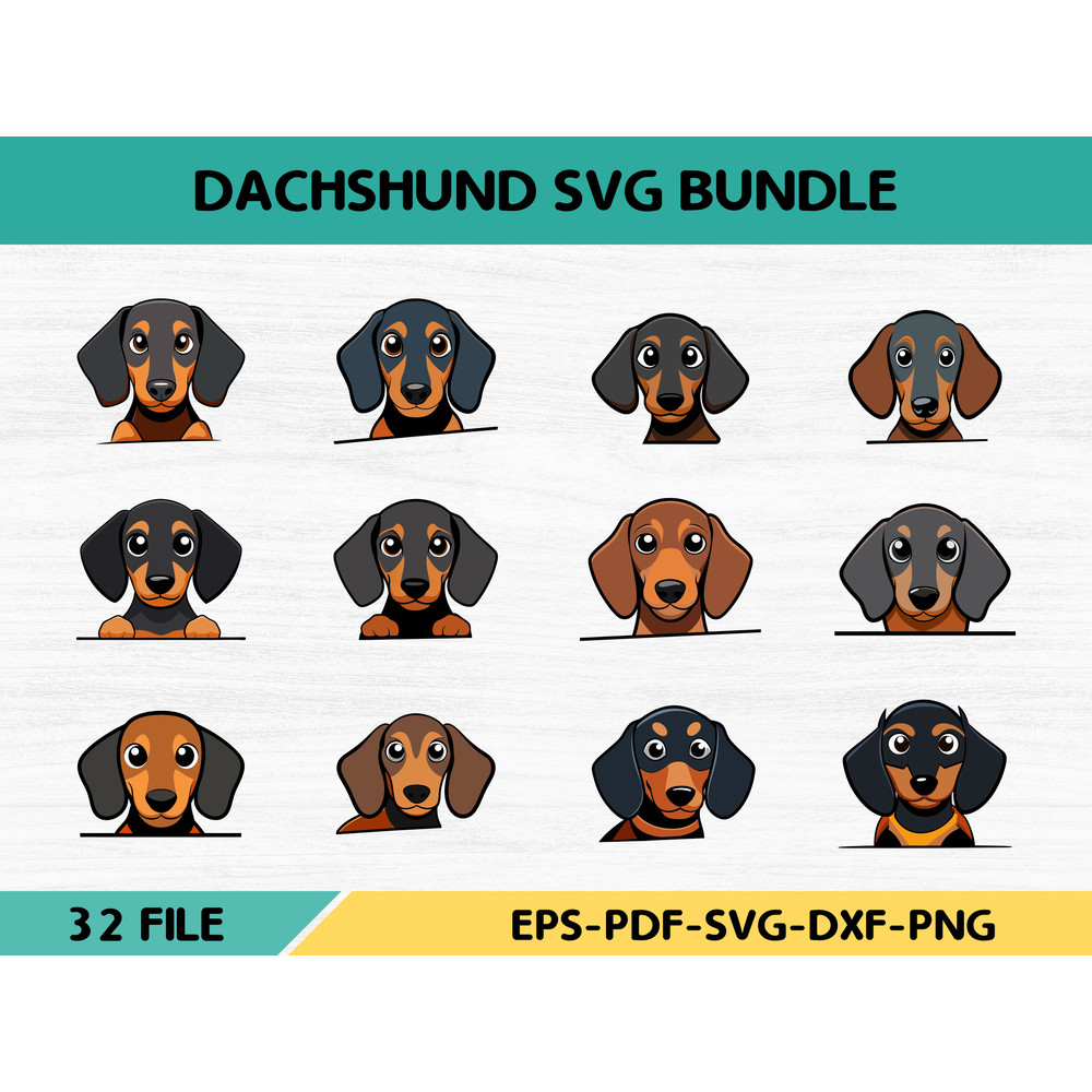 Dachshund 2 0