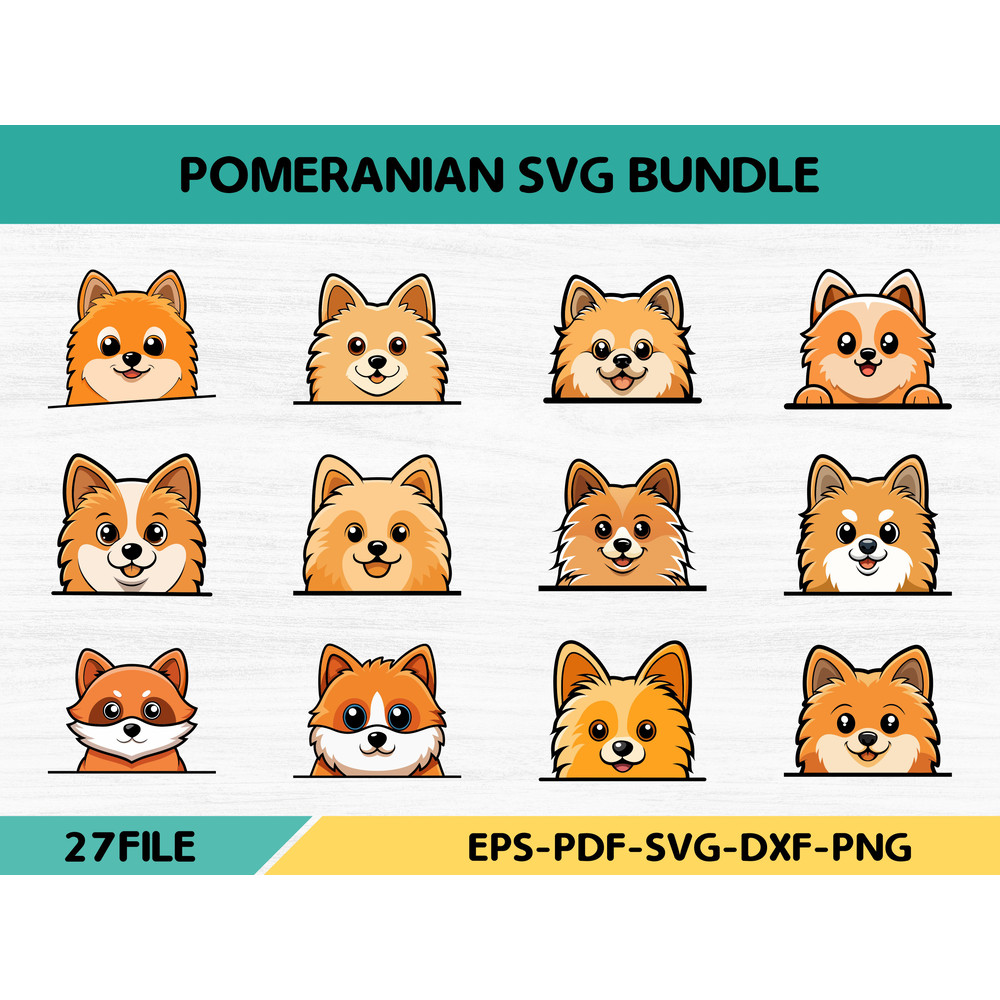 Pomeranian 2 0