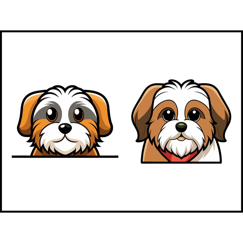 Shih Tzu 2 2