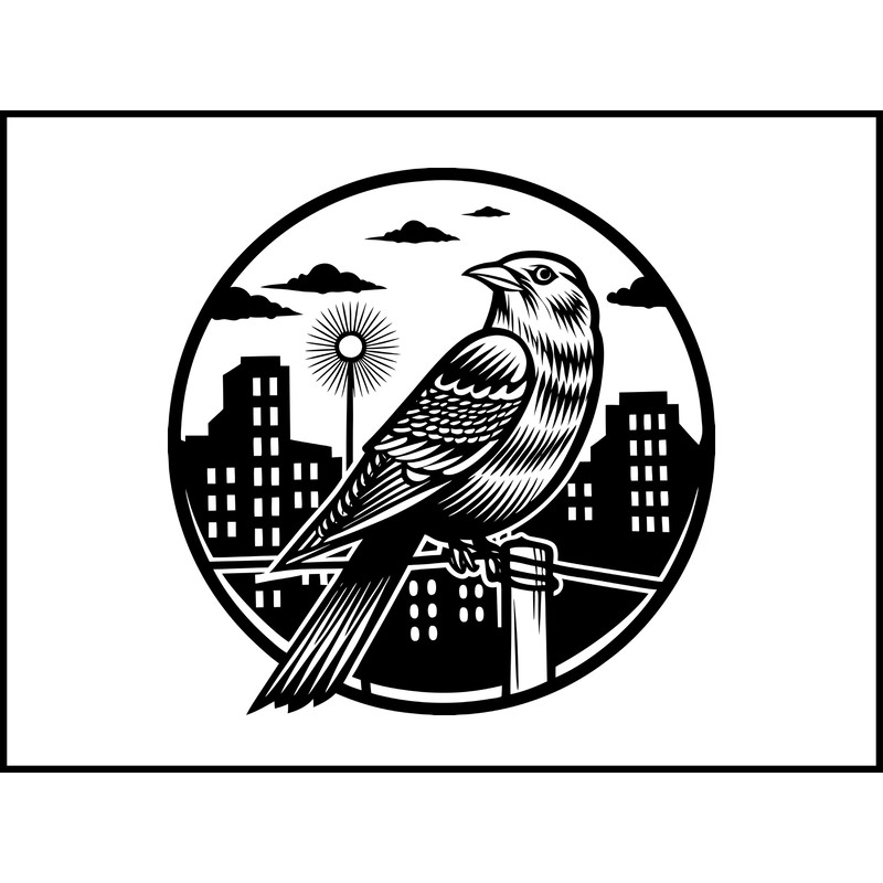 Urban Bird 2