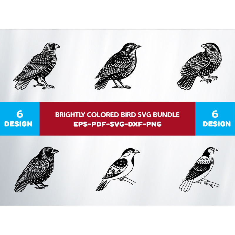 Brightly Colored Bird 0