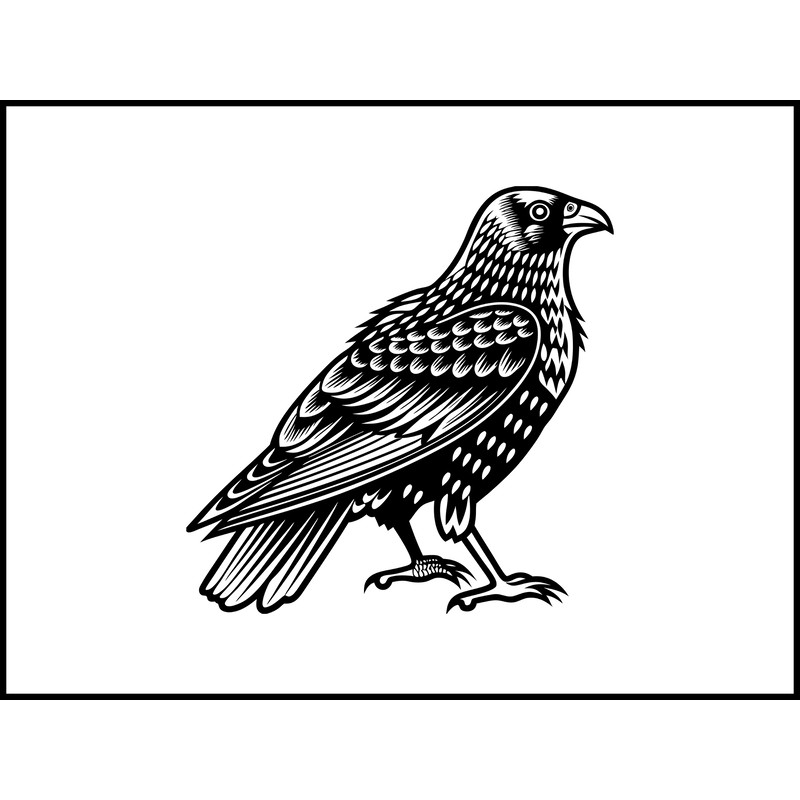 Brightly Colored Bird 2