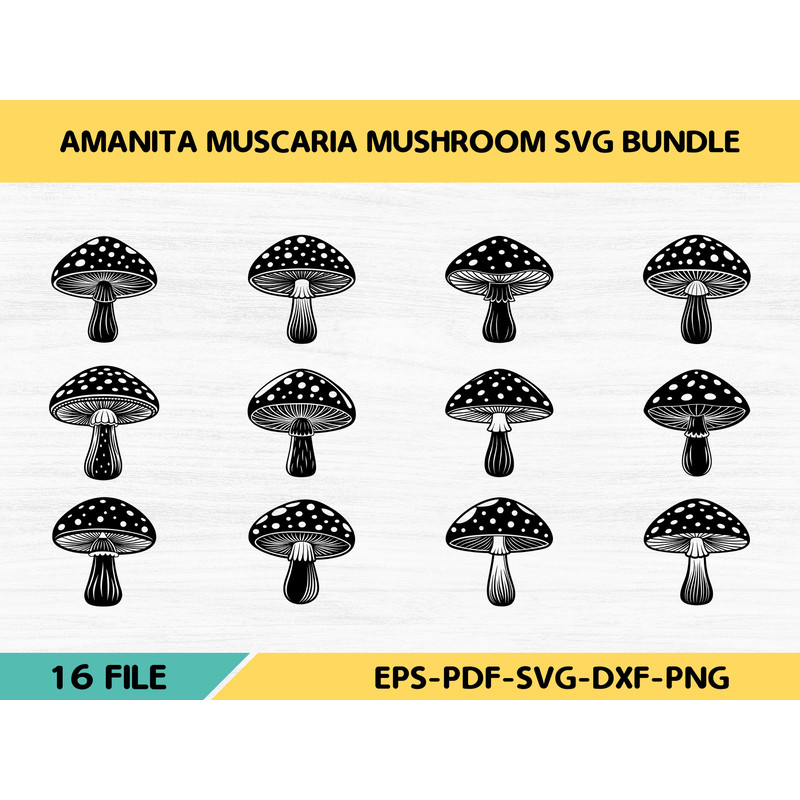 Amanita Muscaria Mushroom 0