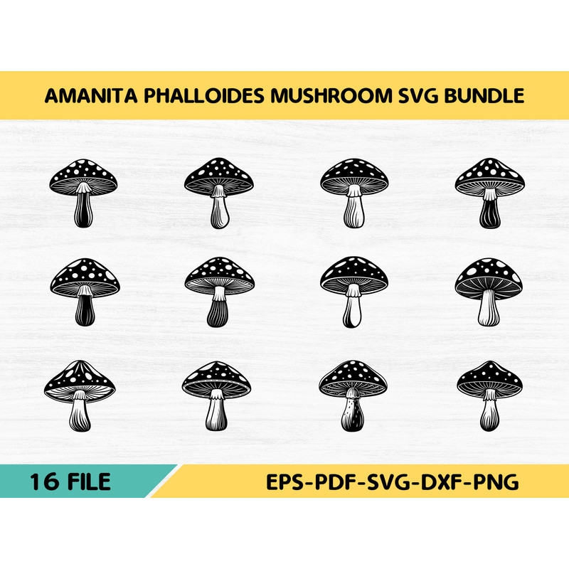 Amanita Phalloides Mushroom 0