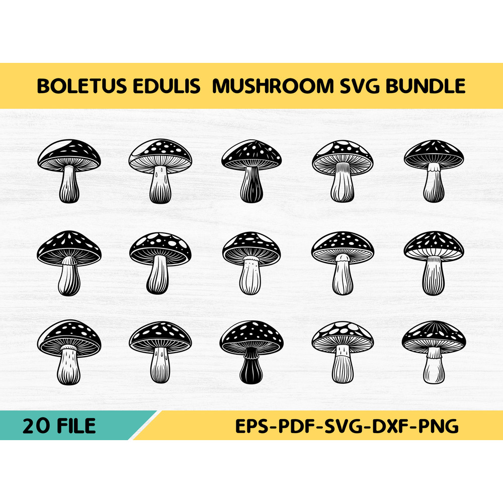 Boletus Edulis Mushroom 0