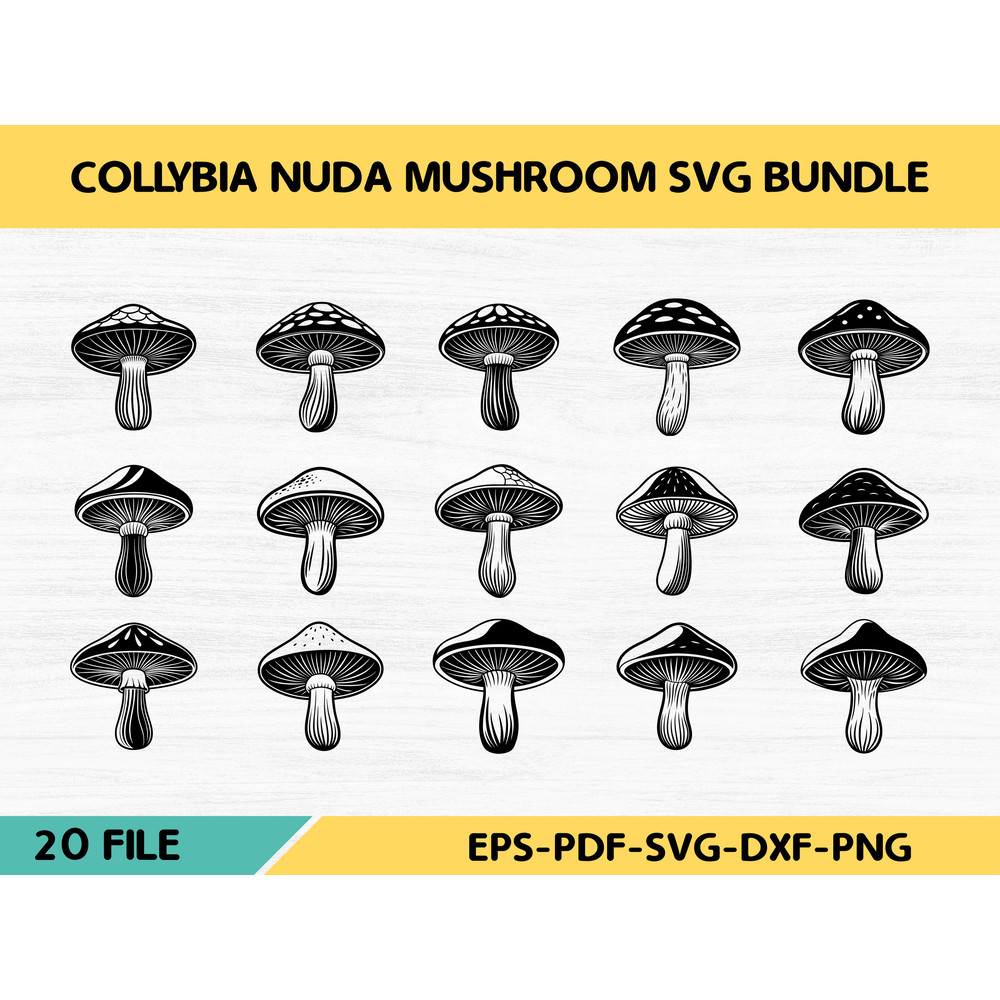 Collybia Nuda Mushroom 0