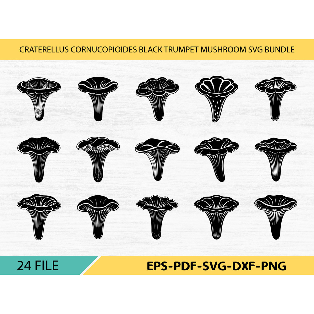 Craterellus Cornucopioides Black Trumpet Mushroom 0