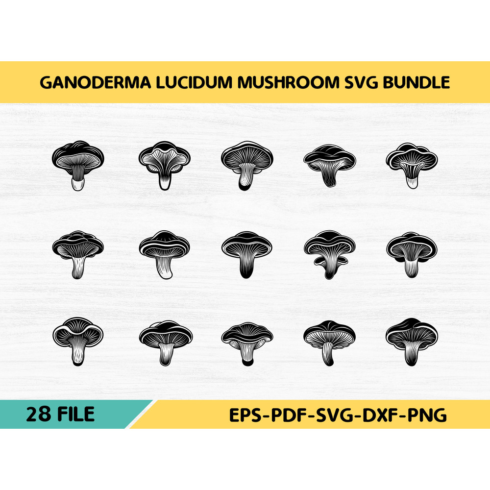 Ganoderma Lucidum Mushroom 0