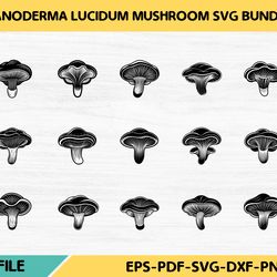 ganoderma lucidum mushroom