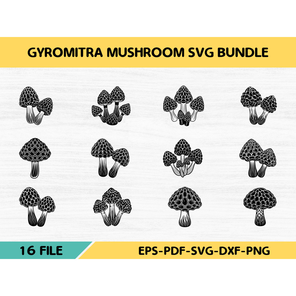 Gyromitra Mushroom 0