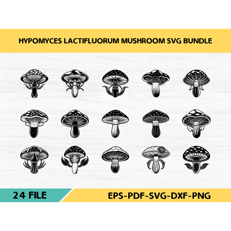 Hypomyces Lactifluorum Mushroom 0