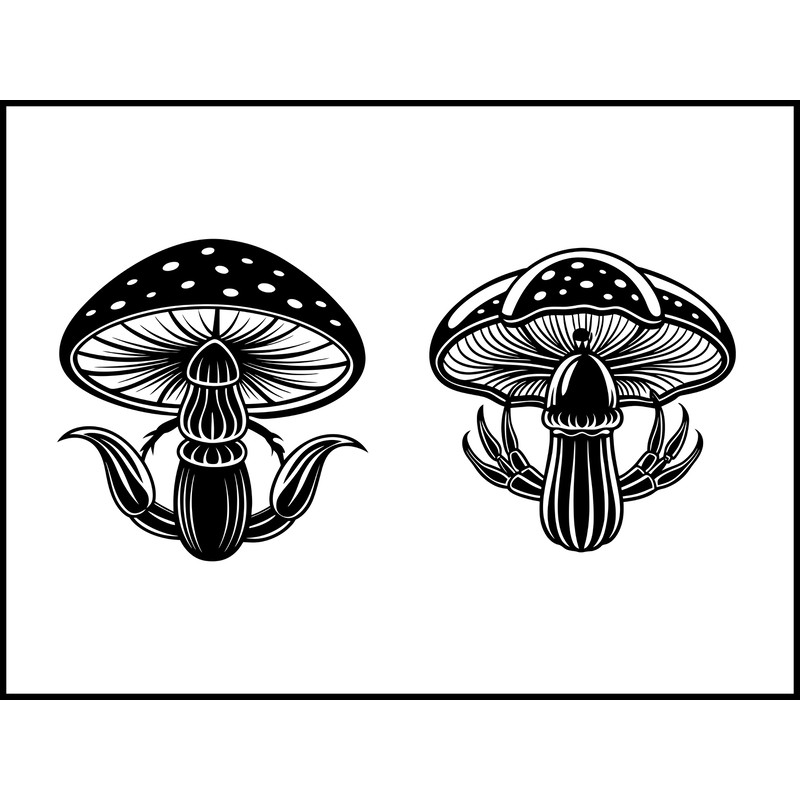 Hypomyces Lactifluorum Mushroom 2