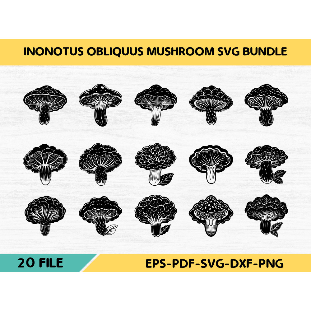Inonotus Obliquus Mushroom 0