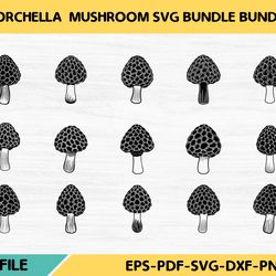 morchella mushroom