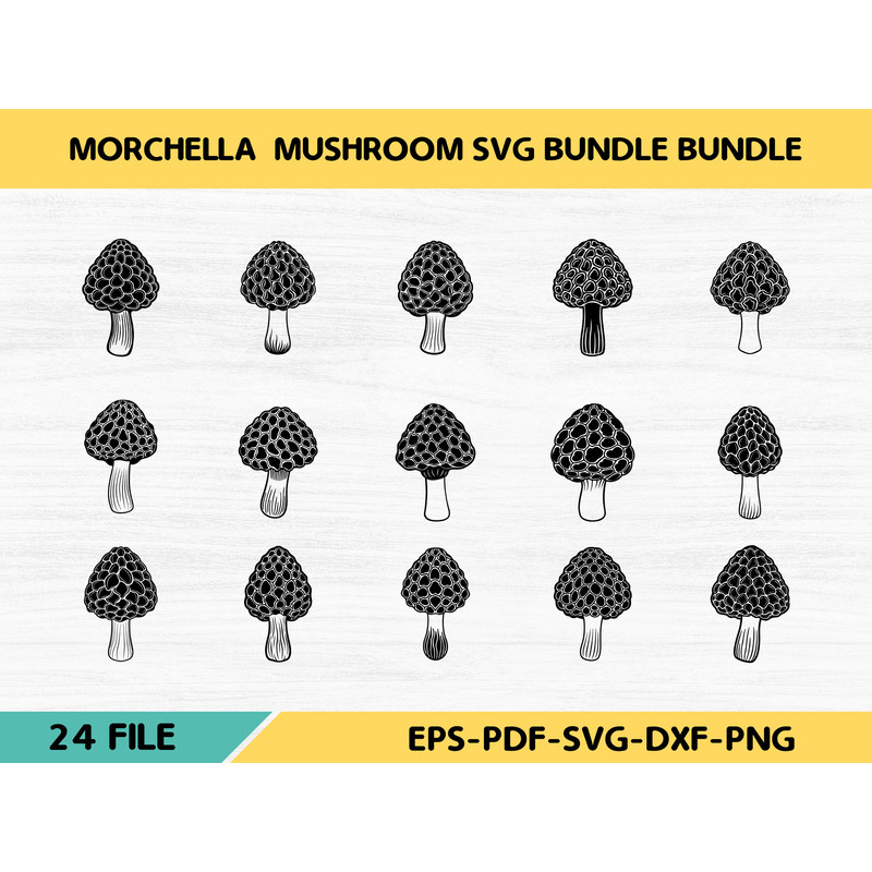 Morchella Mushroom 0