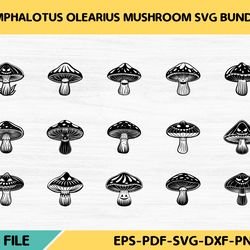 omphalotus olearius mushroom