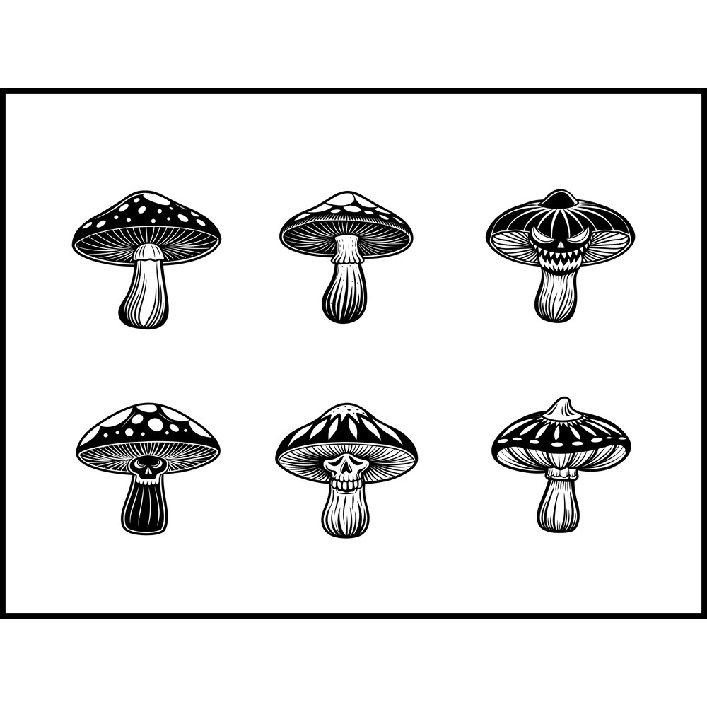 Omphalotus Olearius Mushroom 1