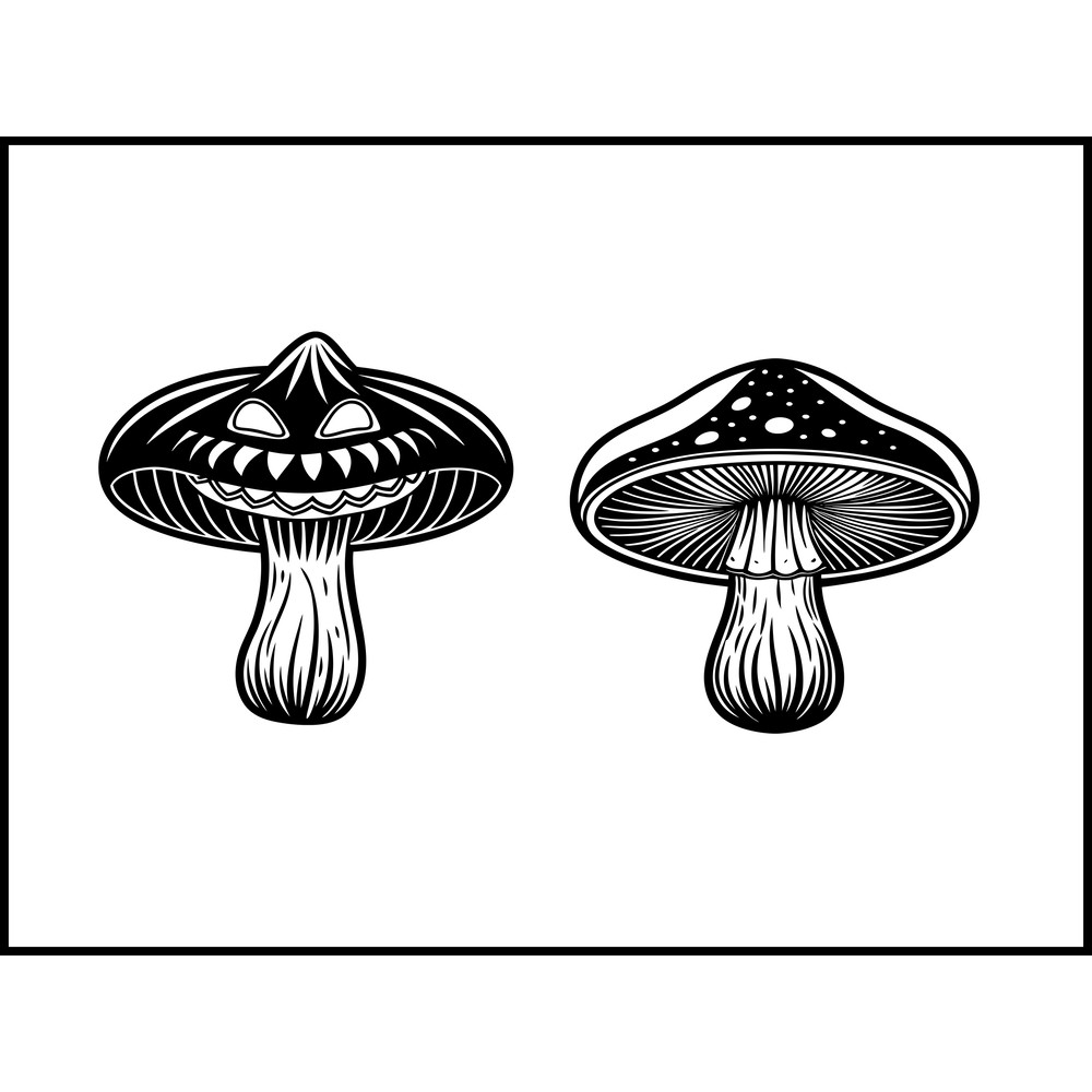 Omphalotus Olearius Mushroom 2