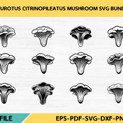 pleurotus citrinopileatus mushroom