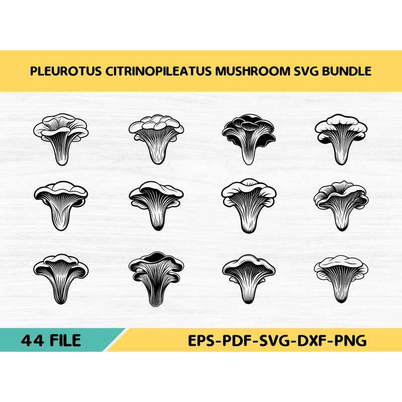 Pleurotus Citrinopileatus Mushroom 0