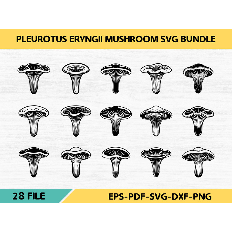 Pleurotus Eryngii Mushroom 0
