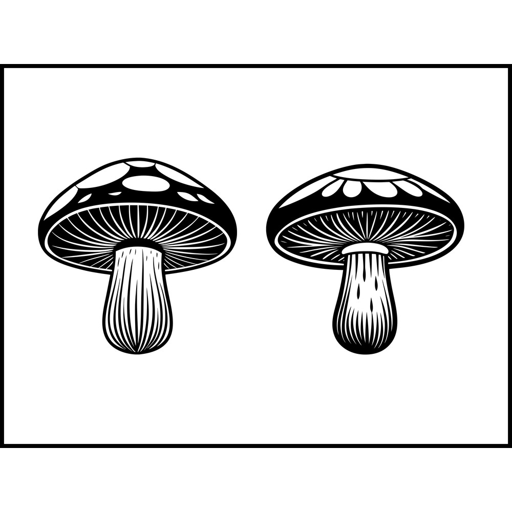 Portobello Mushroom 2