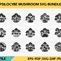 psilocybe mushroom