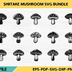 shiitake mushroom