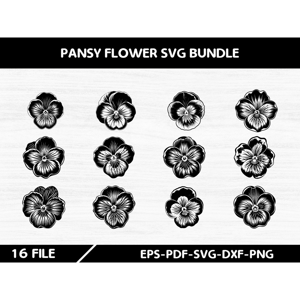 Pansy Flower 3 0