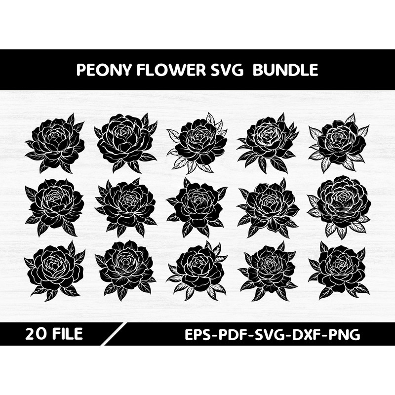 Peony Flower 10 0