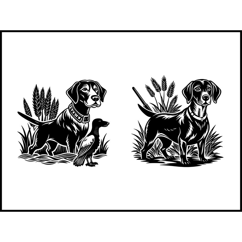 Duck Hunting Dog Pointer 2