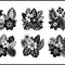 Flower Svg Bundle 1 1