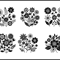 Flower Svg Bundle 4 1